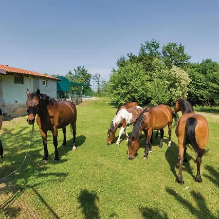 Nyaraló Pet Friendly In With Wifi Mošćenička Draga